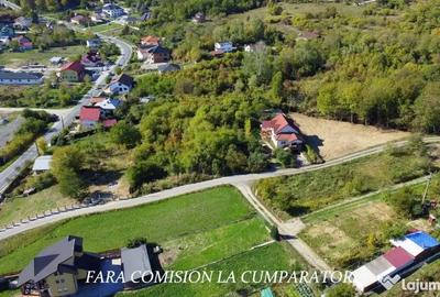 Teren de 1522 mp, în Vlădești - 14