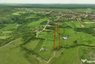 Teren de 5104 mp, în Cordău - 4