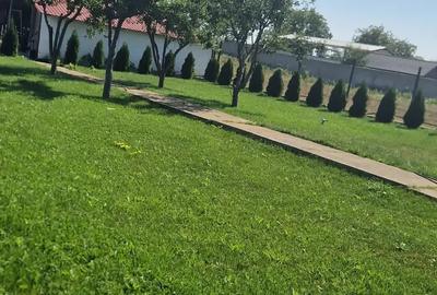 A 49 Vila LUX Letea , 320 mp utili cu 2294 mp teren intravilan - 12