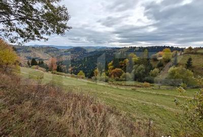 Teren de 6200 mp, în Florești - 2