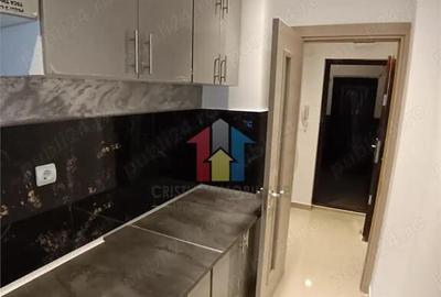 Apartament cu 2 camere semidecomandat în Viziru 3