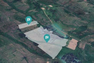 Teren de 87 Hectare de Arendat in Bara, Timi? - 9