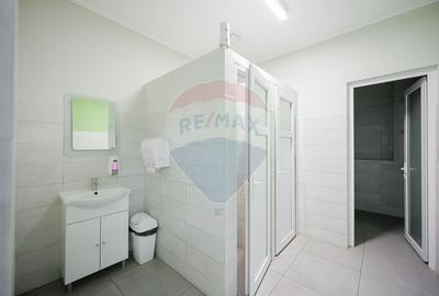 Birou, de 65 mp, în Nufărul - 16