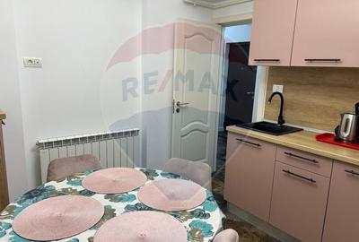 Apartament cu 2 camere de inchiriat  lux  central zona Casa de Cultura - 6