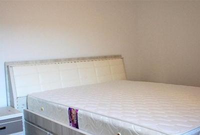 Apartament cu 2 camere decomandat, mobilat în Tineretului - 5