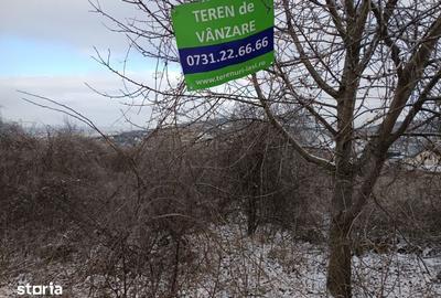 Teren de 11000 mp, în Tomești - 1