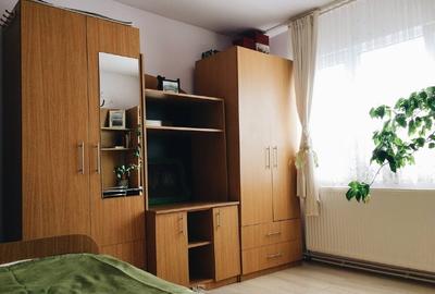 Apartament cu 2 camere decomandat în Cetate - 2