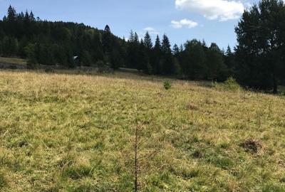 Casă cu 2 camere în Nisipitu - 1