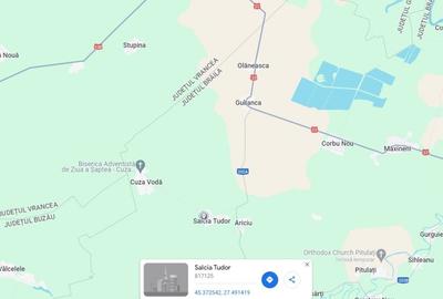 Teren agricol extravilan de 2.0889999866486 mp, în Salcia Tudor - 1