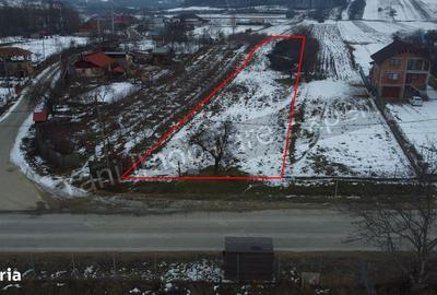 Teren de 2533 mp, în Tigveni - 4