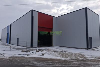 Hala depozitare -  Cernica  Theodor Pallady - 17