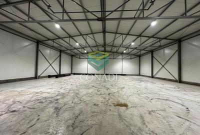 Spațiu industrial, de 595 mp, în Cernica - 4
