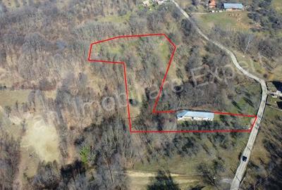 Casă cu Teren 9815 Mp în Borovinești - 18