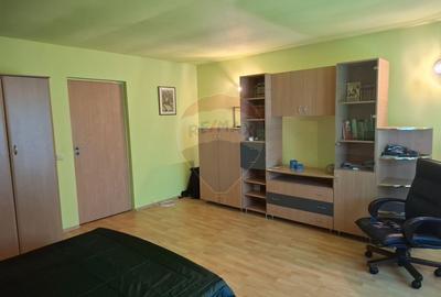 Casa / Vila cu 5 camere de vanzare in zona Brestei - 14