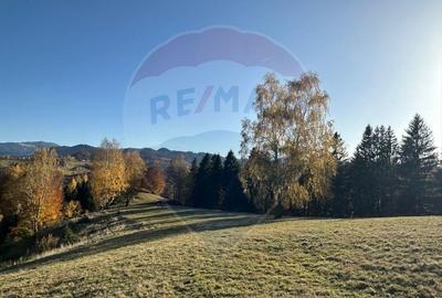 Oportunitate de investiție ! Teren de vis în Pestera - 125.370 mp - 16