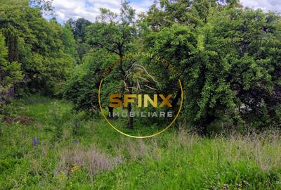 Teren intravilan cu deschidere la parau in Breaza - Strada Primaverii Teren intravilan cu deschidere la parau in Breaza - Strada Primaverii - 6