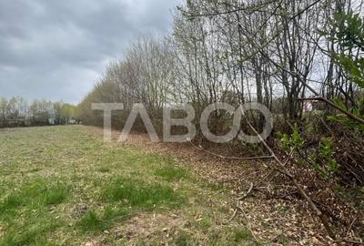 Teren intravilan de vanzare 550m front 21 m utilitati la 120m Cisnadie - 5