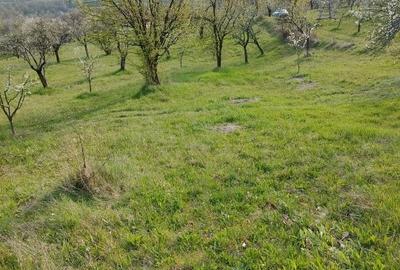 Teren extravilan de 4400 mp, în Ianculești - 3