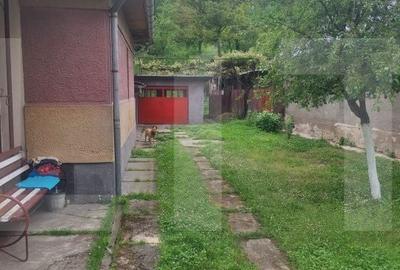 Casă cu 4 camere cu Teren 3745 Mp în Nădrag - 12