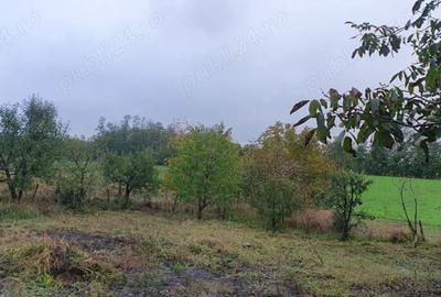 Casa, grajd, gradina plus dependinte - 10