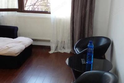 Apartament cu 3 camere semidecomandat, mobilat în Valea Oltului - 14