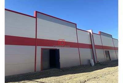 Depozit/hala/spatiu industrial/parc logistic Jilava - Giurg - 9