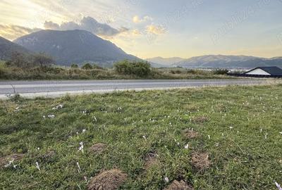 Teren de 500 mp, în Moieciu - 7