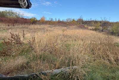 Vând casă în Rachiti BT - 3