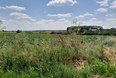 Teren de 16500 mp, în Teișori - 9