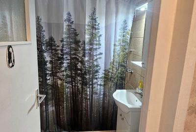 Apartament cu 2 camere semidecomandat în Alexandru Obregia - 4