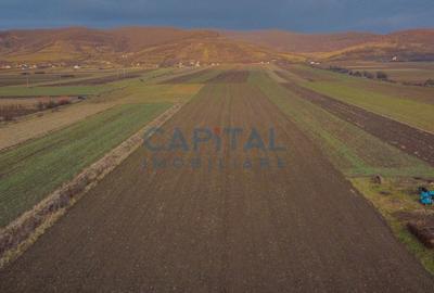 Comision 0%! Teren 17 000 mp, front 45 ml la drum national, utilitaiti in fata - 4