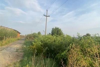 Teren 5000mp extravilan Tarna Mare - 2