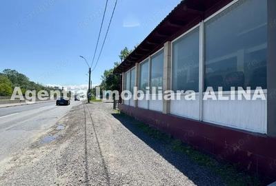Spatiu comercial spre iesire din Loc. Deva (spre Mintia) zona Izvorul Decebal, Jud. Hunedoara. - 7