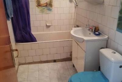 APARTAMENT 3 CAMERE LUJERULUI - 8