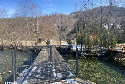 Teren de 2694 mp, în Rucăr - 4