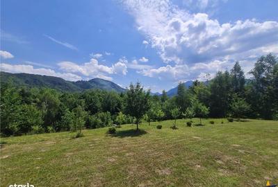 Spațiu comercial, în Cheile Râșnoavei - 11