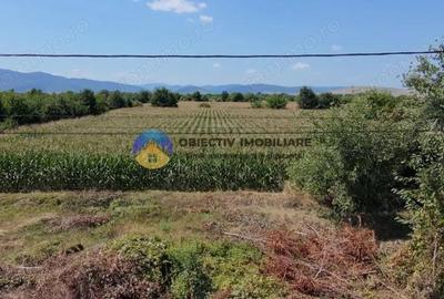 Teren de 3866 mp, în Izvoare (Dumbrava Roșie) - 2