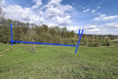 Teren de 5000 mp, în Valea Danului - 10