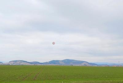 Teren Construcții extravilan de 16875 mp, în Hărman - 3