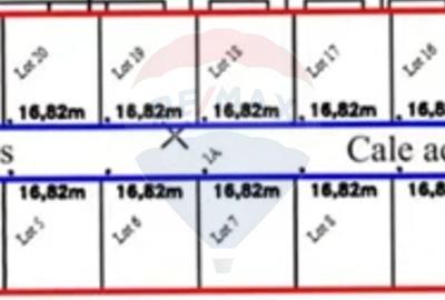 Vanzare teren intravilan 10.000mp Afumati - Strada Teiului - 4
