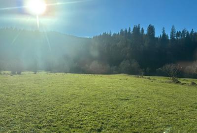 Teren intravilan - 7