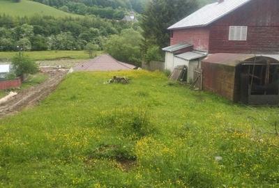 Teren de 719 mp, în Tulnici - 1