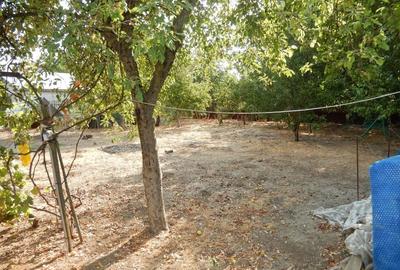 Calugareni-Branistari-casa 4 camere, teren 1965 mp, curent, put, libera,69900 € - 25