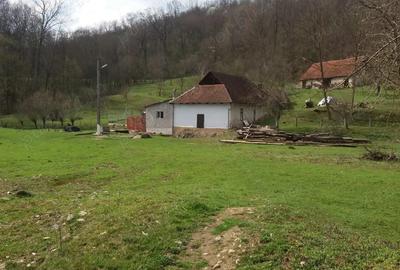 Casă cu 4 camere cu Teren 26000 Mp în Hălmagiu - 9