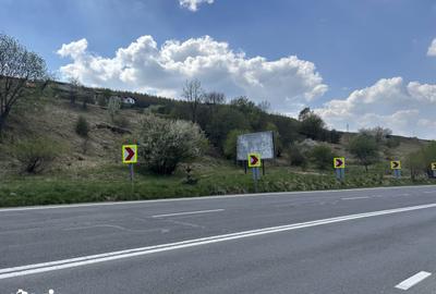 Teren de 2369 mp, în Feleacu - 3