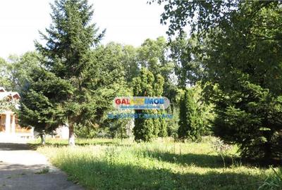 Oportunitate Exceptionala: Casa cu Teren Generos, zona Lebad - 4