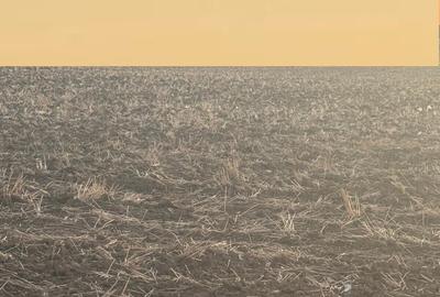 Teren în Brănești - 1