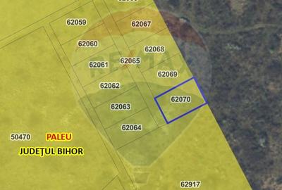Teren agricol extravilan de 974 mp, în Paleu - 4