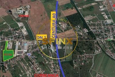 Teren agricol intravilan de 84816 mp, în Nordului - 3