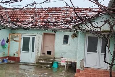 Casă cu 4 camere cu Teren 1500 Mp în Bârsa - 9